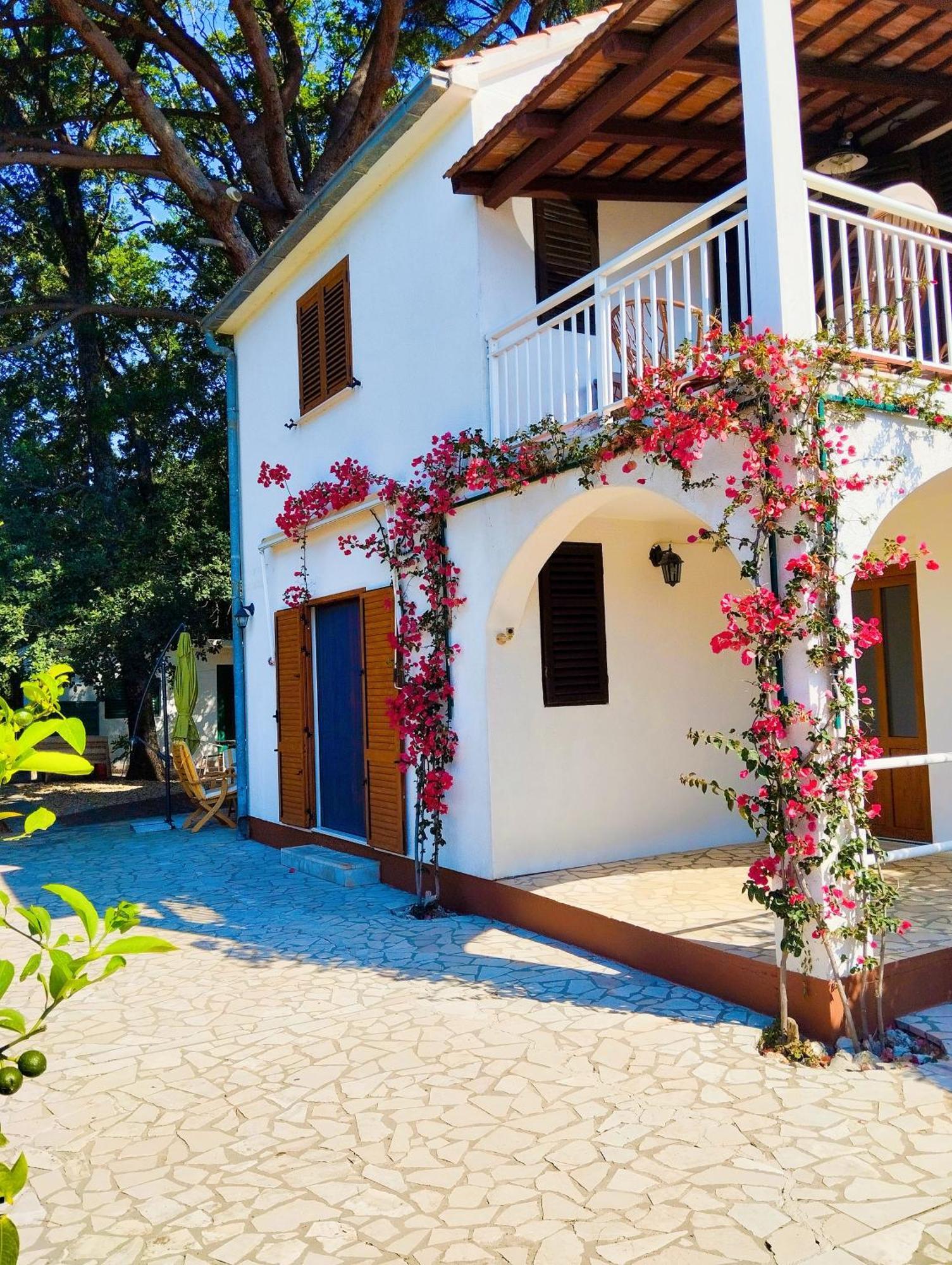 Holiday House Pinus Pinea Вигань Экстерьер фото